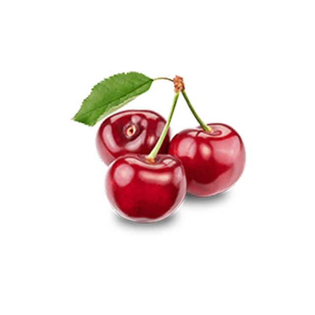 OLT Juice – Image 4