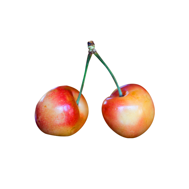Green Apple – Image 2