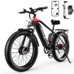 Bicicletta elettrica DUOTTS F26, doppio motore da 1500 W elettrodonovan