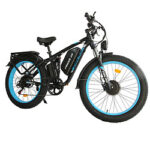 Bicicletta elettrica FINDER V3 – doppio motore da 3000W di picco, batteria da 60V25Ah elettrodonovan