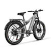 Bicicletta elettrica Shengmilo S600, doppio motore da 2000 W elettrodonovan