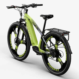 Bicicletta elettrica da montagna Cysum Speedy da 29 pollici, motore da 500 W elettrodonovan
