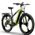 Bicicletta elettrica da montagna Cysum Speedy da 29&Prime;, motore da 500W elettrodonovan